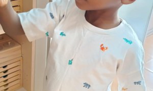 Jeżyki: Wrzesień 2025 - Zdjęcie 20