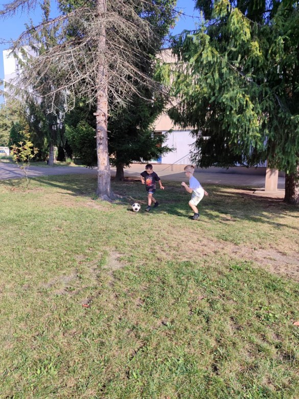 Tygryski: Wrzesień 2025 - Zdjęcie 39