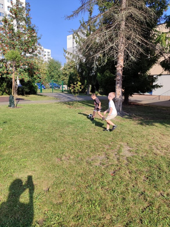 Tygryski: Wrzesień 2025 - Zdjęcie 54