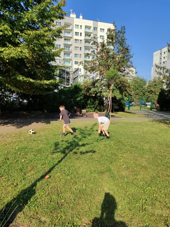 Tygryski: Wrzesień 2025 - Zdjęcie 100