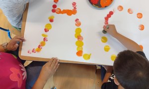 Tygryski: Wrzesień 2025 - Zdjęcie 48