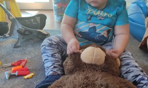 Tygryski: Wrzesień 2025 - Zdjęcie 56