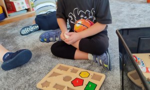 Tygryski: Wrzesień 2025 - Zdjęcie 69