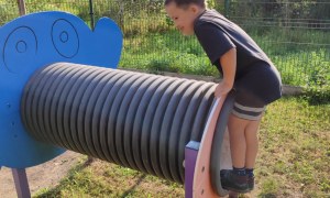 Tygryski: Wrzesień 2025 - Zdjęcie 74