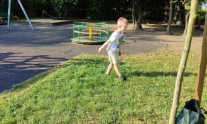 Tygryski: Wrzesień 2025 - Zdjęcie 82