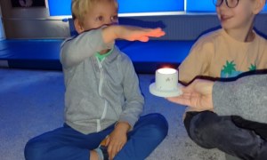 Tygryski: Wrzesień 2025 - Zdjęcie 92