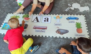 Tygryski: Wrzesień 2025 - Zdjęcie 97