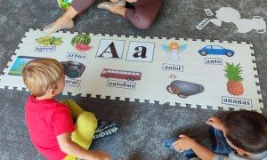 Tygryski: Wrzesień 2025 - Zdjęcie 47