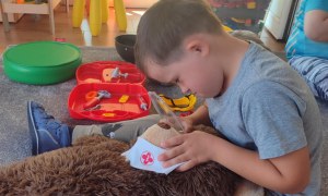 Tygryski: Wrzesień 2025 - Zdjęcie 64