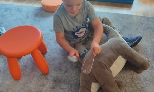 Tygryski: Wrzesień 2025 - Zdjęcie 72