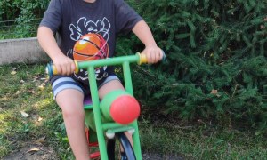 Tygryski: Wrzesień 2025 - Zdjęcie 95