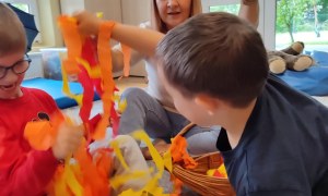 Tygryski: Wrzesień 2025 - Zdjęcie 101