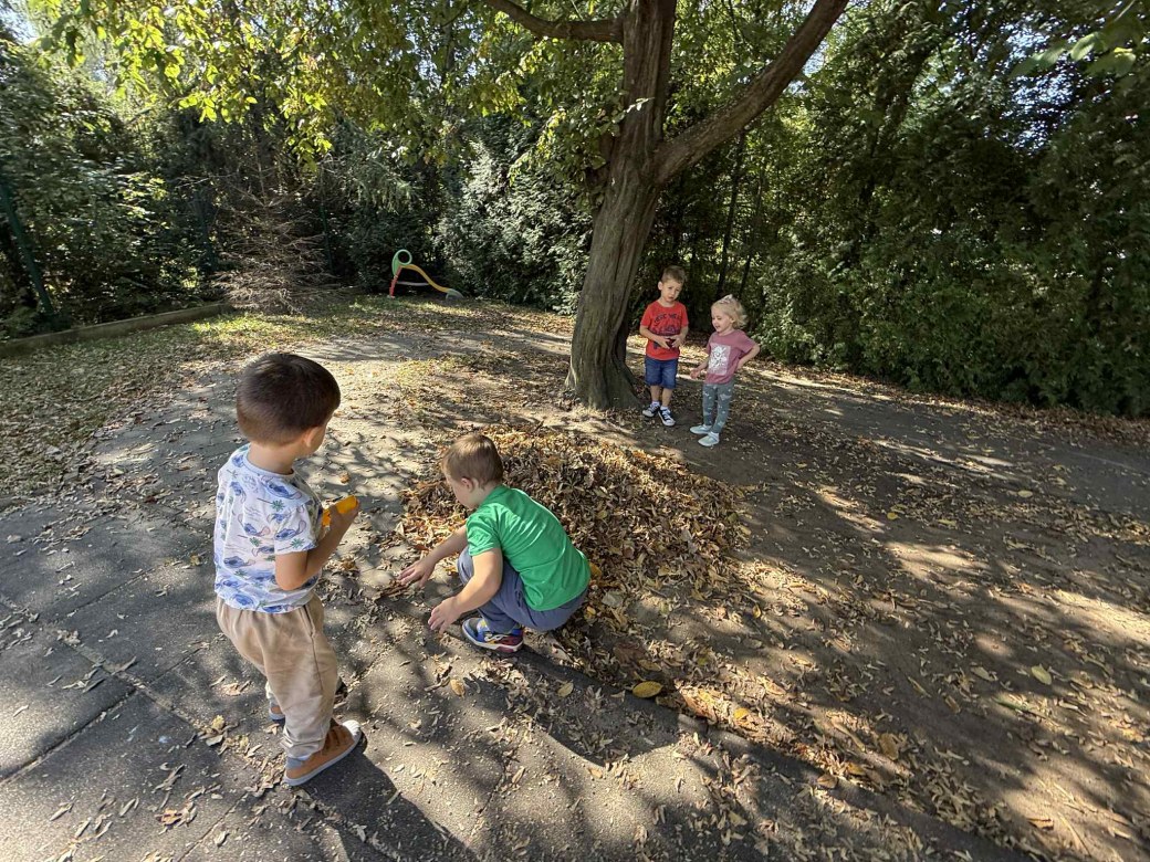 Żabki: Wrzesień 2025 - Zdjęcie 139