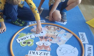 Żabki: Wrzesień 2025 - Zdjęcie 29