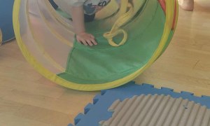 Żabki: Wrzesień 2025 - Zdjęcie 100