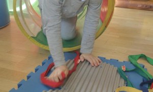 Żabki: Wrzesień 2025 - Zdjęcie 140