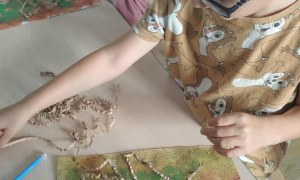 Żabki: Wrzesień 2025 - Zdjęcie 168