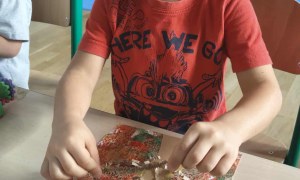 Żabki: Wrzesień 2025 - Zdjęcie 1