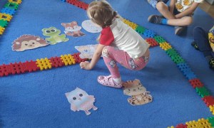 Żabki: Wrzesień 2025 - Zdjęcie 45