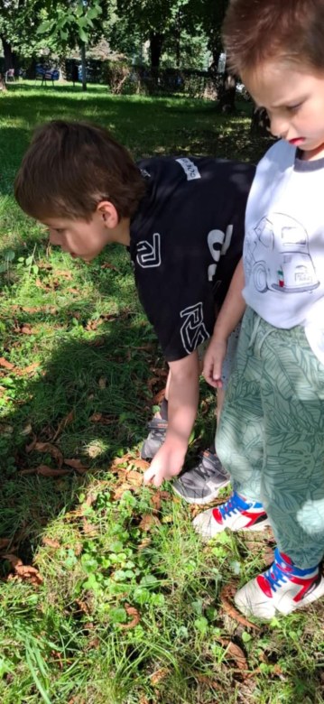 Muminki: Wrzesień 2025 - Zdjęcie 2