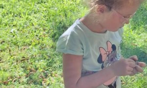 Muminki: Wrzesień 2025 - Zdjęcie 16