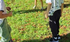 Muminki: Wrzesień 2025 - Zdjęcie 18