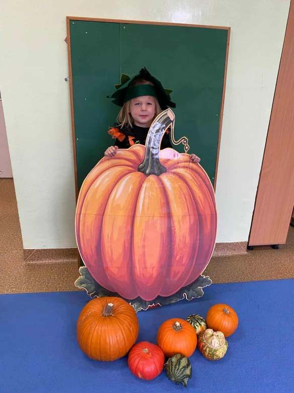 Dzień Dyni: Misie 2025 - Zdjęcie 8