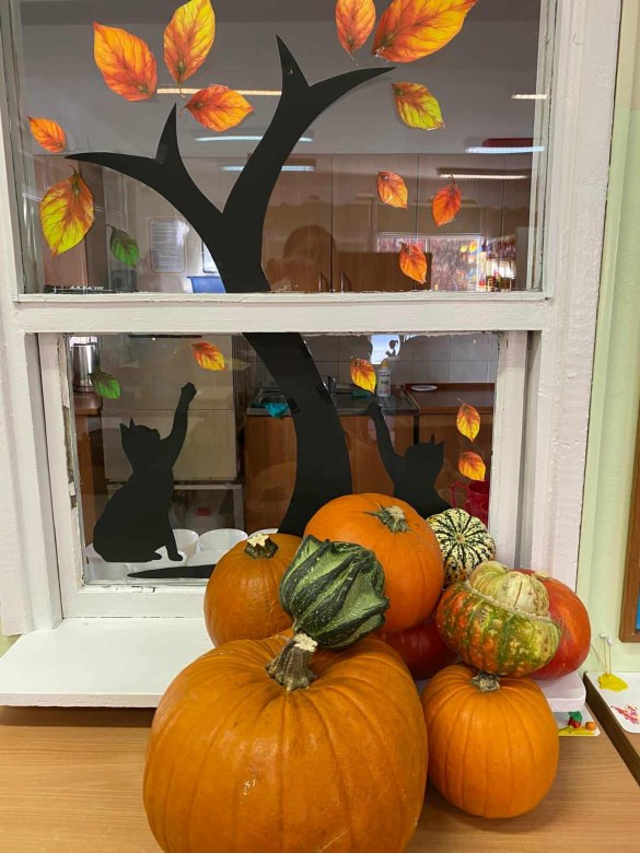 Dzień Dyni: Misie 2025 - Zdjęcie 12