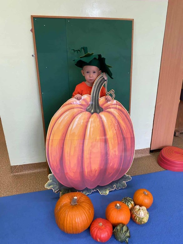 Dzień Dyni: Misie 2025 - Zdjęcie 15