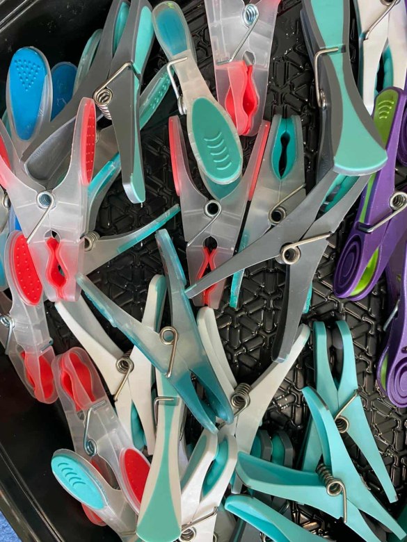 Dzień Dyni: Misie 2025 - Zdjęcie 41