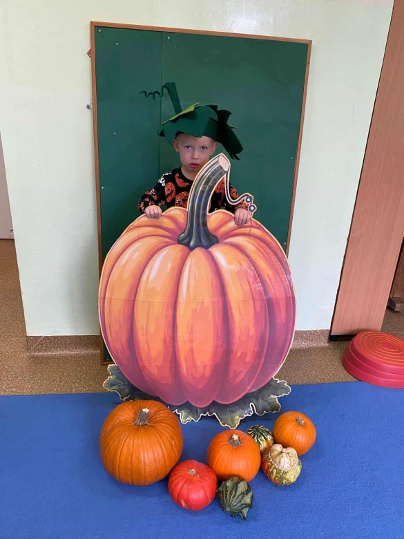 Dzień Dyni: Misie 2025 - Zdjęcie 39