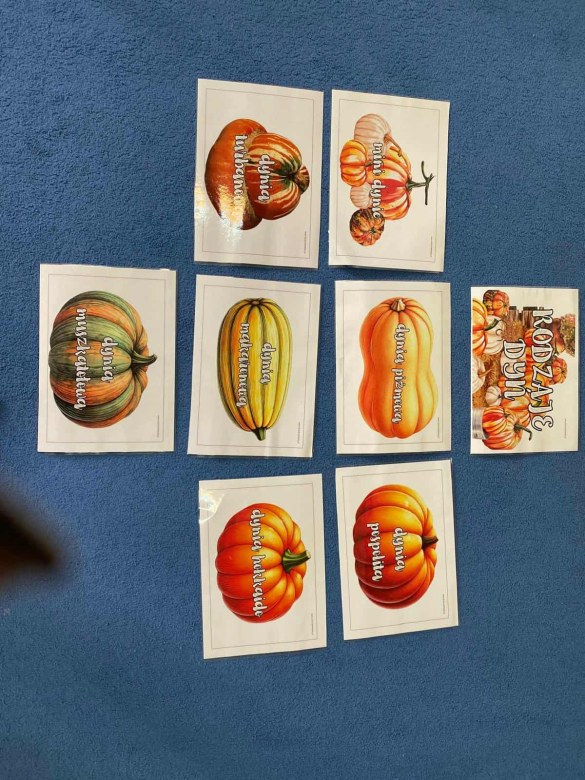 Dzień Dyni: Misie 2025 - Zdjęcie 10