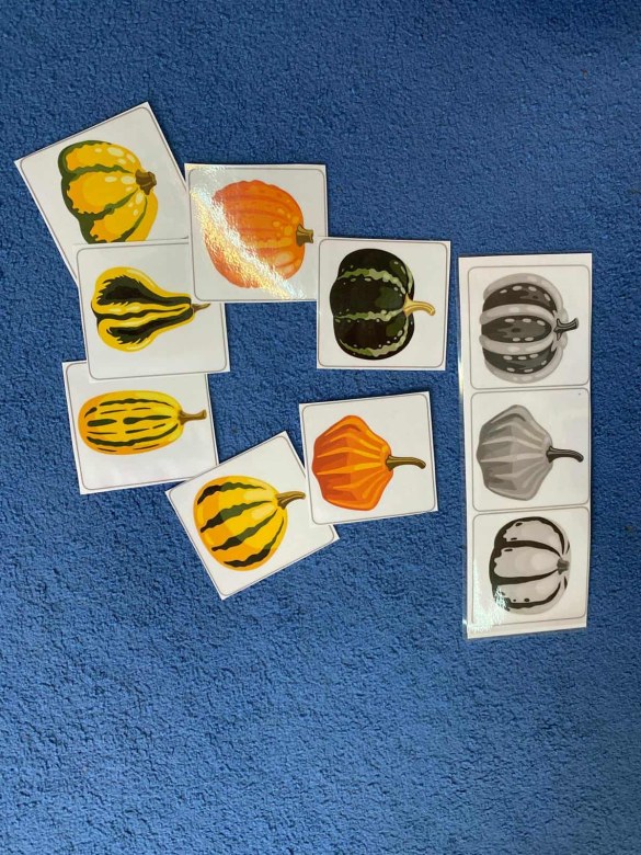 Dzień Dyni: Misie 2025 - Zdjęcie 19