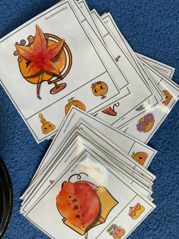 Dzień Dyni: Misie 2025 - Zdjęcie 37