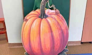 Dzień Dyni: Misie 2025 - Zdjęcie 4