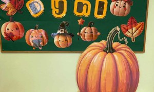 Dzień Dyni: Misie 2025 - Zdjęcie 5