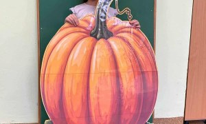 Dzień Dyni: Misie 2025 - Zdjęcie 18