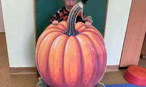 Dzień Dyni: Misie 2025 - Zdjęcie 39