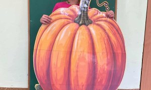 Dzień Dyni: Misie 2025 - Zdjęcie 44