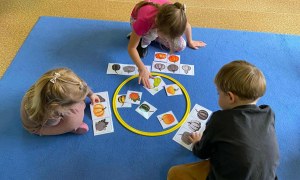 Dzień Dyni: Misie 2025 - Zdjęcie 2