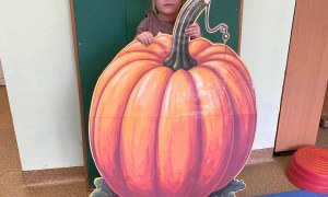 Dzień Dyni: Misie 2025 - Zdjęcie 17