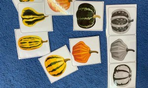 Dzień Dyni: Misie 2025 - Zdjęcie 19