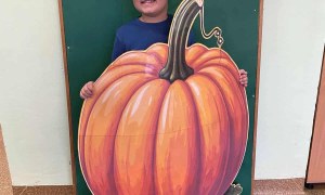 Dzień Dyni: Misie 2025 - Zdjęcie 35