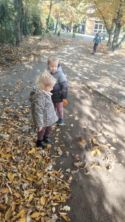 Żabki: Październik 2025 - Zdjęcie 21