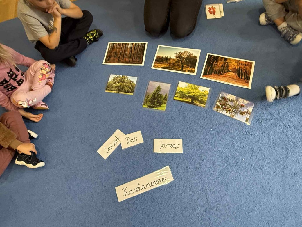 Żabki: Październik 2025 - Zdjęcie 38