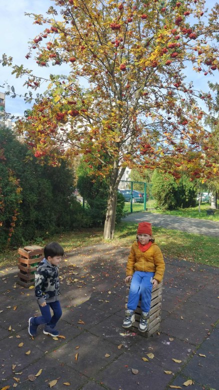 Żabki: Październik 2025 - Zdjęcie 56