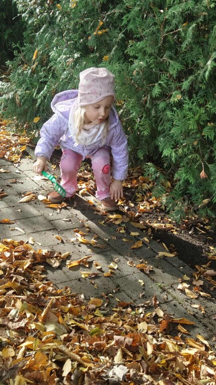 Żabki: Październik 2025 - Zdjęcie 78