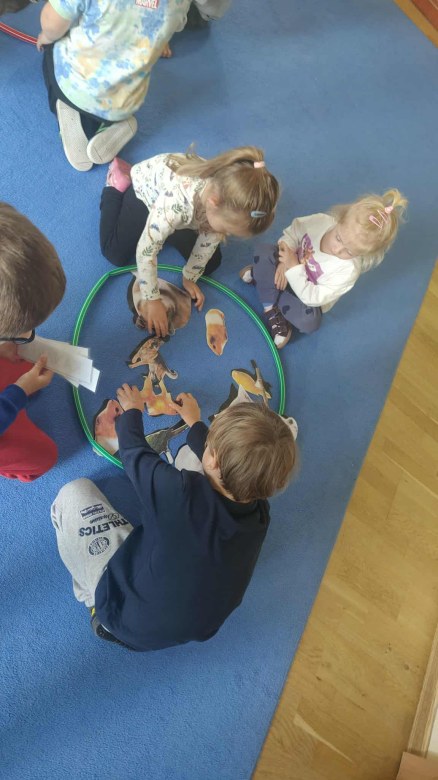 Żabki: Październik 2025 - Zdjęcie 95