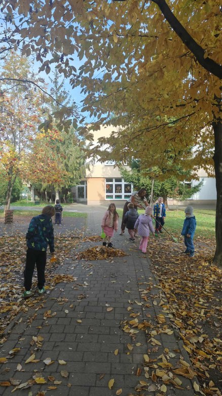 Żabki: Październik 2025 - Zdjęcie 89