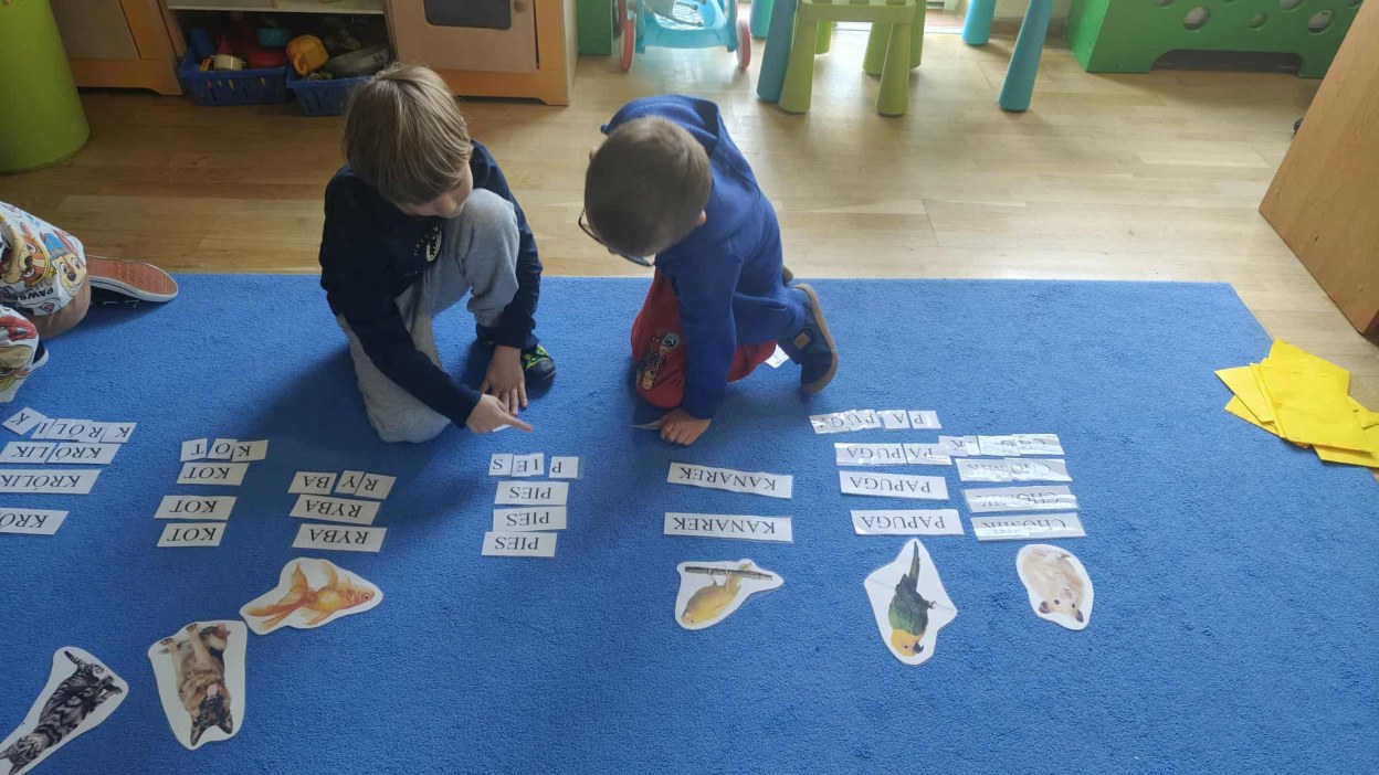 Żabki: Październik 2025 - Zdjęcie 91